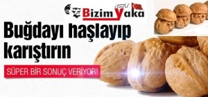 CEVİZİN FAYDALARI SAYMAKLA BİTMİYOR.