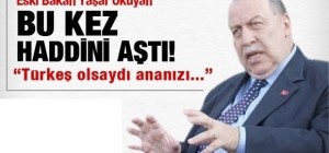 Türkeş yaşasaydı sizin ananızı ....