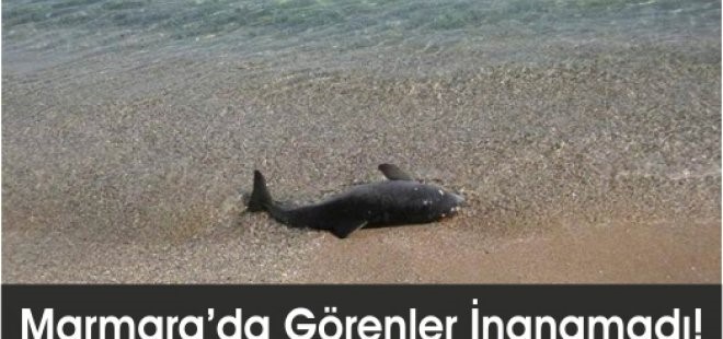 Ataşehir'de Büyük Zafere Özel Konser