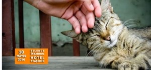 Bir Çözümü Var Aslında