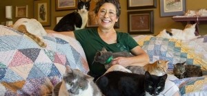 En Büyük Zenginliği Kedileri