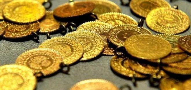 Beykoz Sokak Hayvanlarını Unutmadı