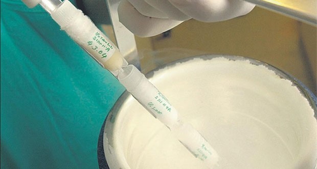 Ve... Sperm Üretildi!