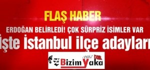 AK Parti'nin İstanbul ilçe adayları belli oldu