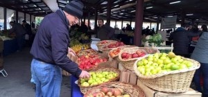 Sağlıklı Yaşam Tutkunları Kartal Ekolojik Pazarda Buluşuyor