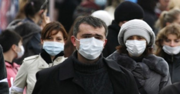 Domuz Gribi 33 Can Aldı