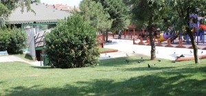 Ümraniye Nefes Alacak