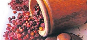 Sumak ile mide tembelliğine durak