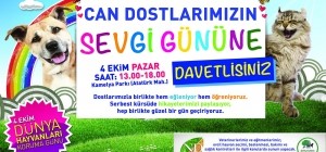 Hayvanseverler 4 Ekim'de Ataşehir'de Buluşuyor