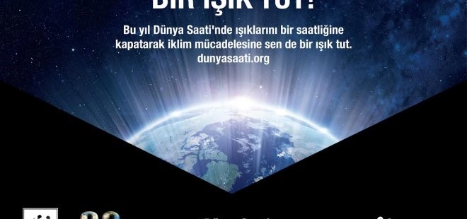 Rekor Destek