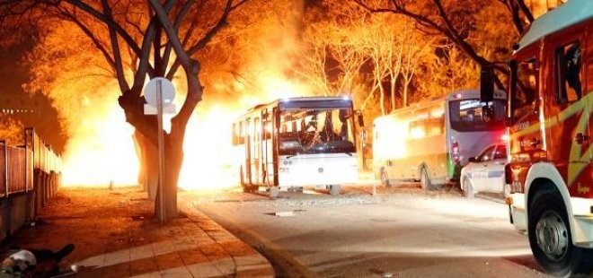 Ataşehir Hayvan Barınağı'nda 'Engelsiz Sevgi'