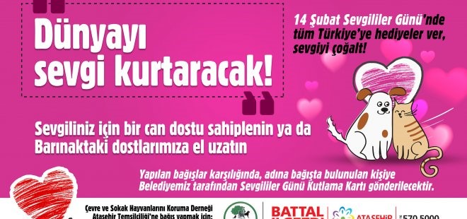 Deniz Seki gözyaşları içinde böyle yalvardı