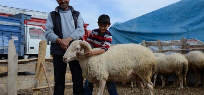 Ve... Sperm Üretildi!