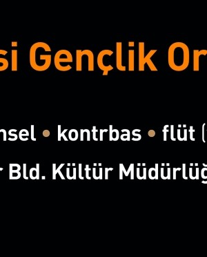 Ataşehir Belediyesi Gençlik Orkestrası Kuruluyor