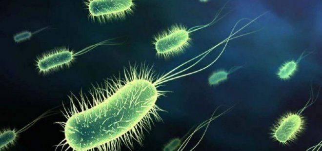 Memleket  havaları Ataşehir'de