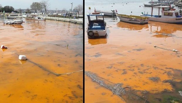 Silivri'de Deniz Renk Değiştirdi