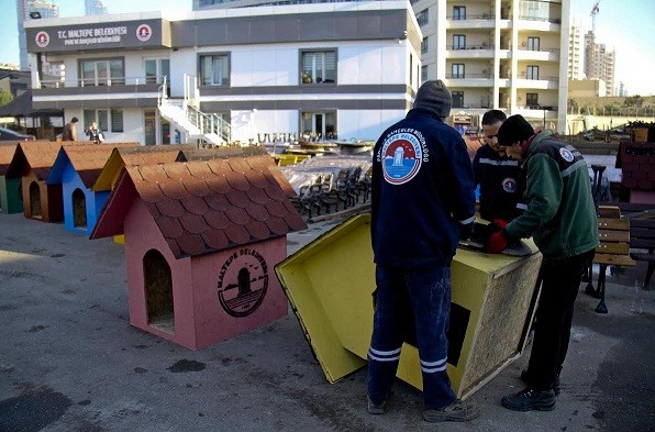 Dostlarımız Rengarenk Evlerine Kavuşacak
