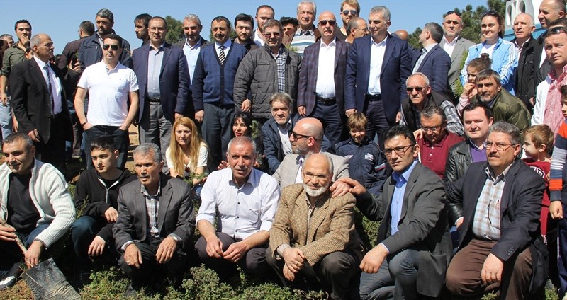 Yere Düşen Fidanlar Tekrar Yeşerecek..