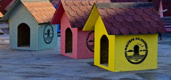 GORAN BREGOVÇ' İ HEMŞEHRİSİ YALNIZ BIRAKMADI