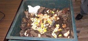 Solucan Gübresi Bir Nimet