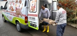 Ataşehir Belediyesi'nden örnek hizmet
