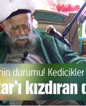 Şeyh Nazım Kıbrısi öldü dendi Adnan Oktar küplere bindi
