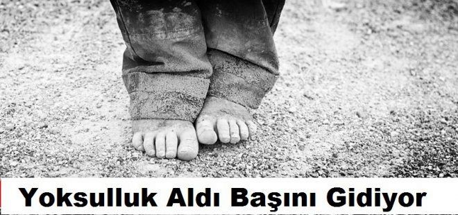 Tunceli'de PKK Operasyonu