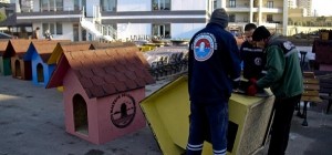 Dostlarımız Rengarenk Evlerine Kavuşacak