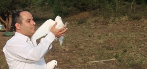 Şebap Güvercinleri Ataşehir'de yarışacak