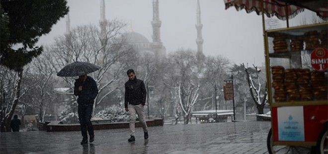 Hayvansever Belediye!