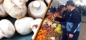 Üsküdar Zabıtasından Zehirli Mantara Geçit Yok!