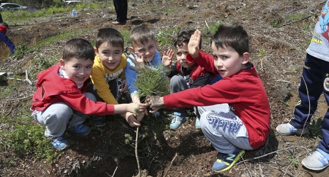 Beykoz Kent Konseyi Hatıra Ormanı Kök Saldı