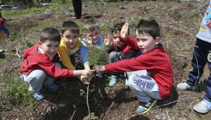 Beykoz Kent Konseyi Hatıra Ormanı Kök Saldı