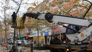 Kartal belediyesi ağaçların bakım ve budama çalışmalarına devam ediyor