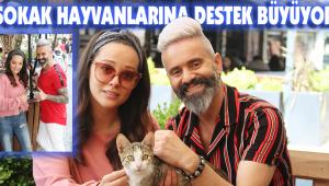 SOKAK HAYVANLARINA DESTEK BÜYÜYOR