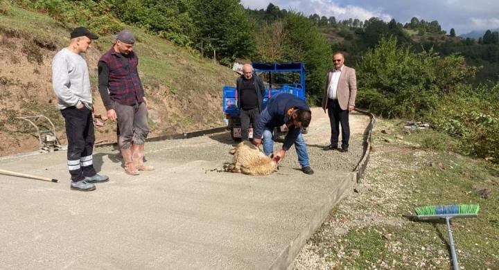 Aybastı Uzundere Şelalesi Göz Kamaştırıyor. Tam bir doğa harikası