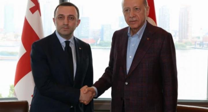 Gürcistan Başbakanı Garibaşvili'yi Türkevi'nde kabul etti