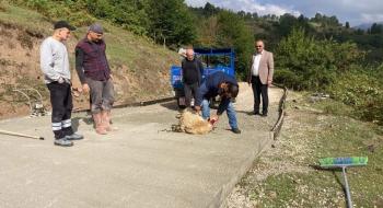Aybastı Uzundere Şelalesi Göz Kamaştırıyor. Tam bir doğa harikası