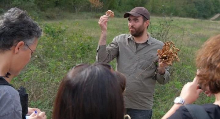 Ormanya’da mantar avı düzenlendi