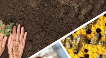 169 milyon TL'lik tarımsal destek hesaplarda