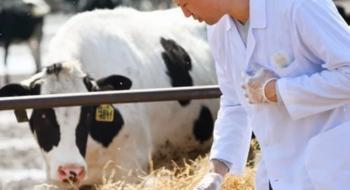 Tarımsal girdide veteriner harcamaları ilk sırada