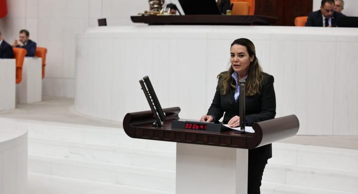 TÜRKEŞ;AİLE BAKANLIĞI BÜTÇESİ GÜN GİTTİKÇE ERİYOR