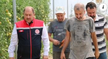 ERZİNCAN'DA DOMETES ÜRETİMİ ERZİNCANI VE ÇEVRE İLLERİ BESLİYOR...