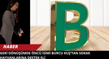 Geri Dönüşümde Öncü İsim: Burcu Kuş’tan Sokak Hayvanlarına Destek Eli