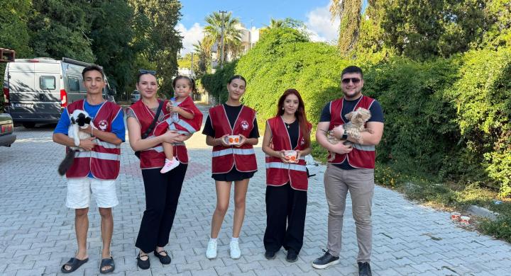 Alanya Kent Konseyi’nden 4 Ekim’de Sokak Hayvanlarına Duyarlılık Mesajı