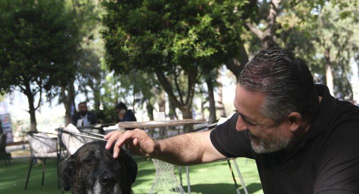 HAYVANLARIN SEVGİ DİLİ 